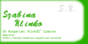 szabina mlinko business card
